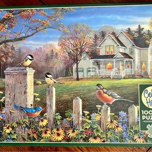 1000 piece puzzle
